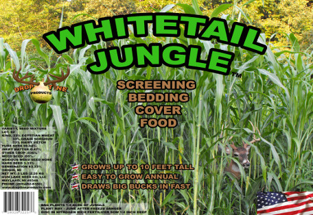 Whitetail Jungle